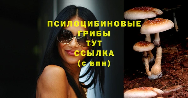 ГАЛЛЮЦИНОГЕННЫЕ ГРИБЫ Нефтегорск