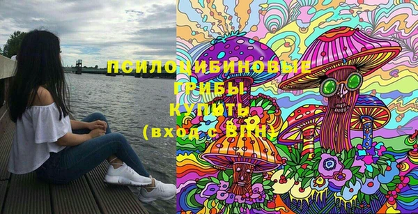 дурь Нефтекумск