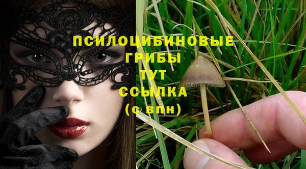 дурь Нефтекумск
