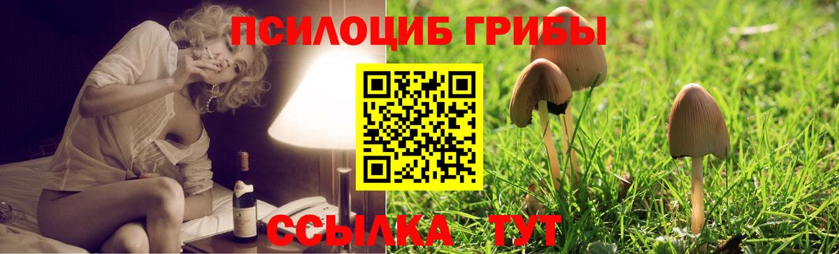 Псилоцибиновые грибы Magic Shrooms Богородицк