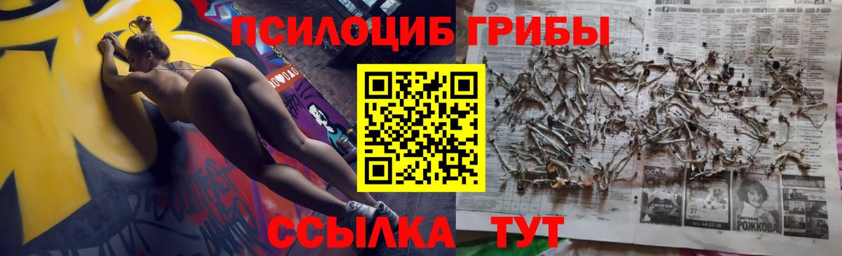 Псилоцибиновые грибы MAGIC MUSHROOMS  Богородицк 