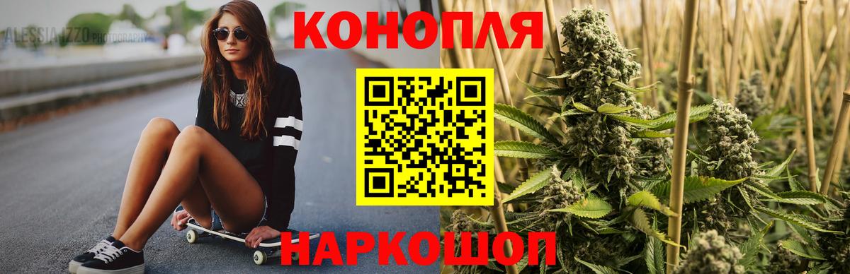 МАРИХУАНА сатива Богородицк